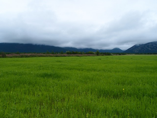 P8095417.JPG