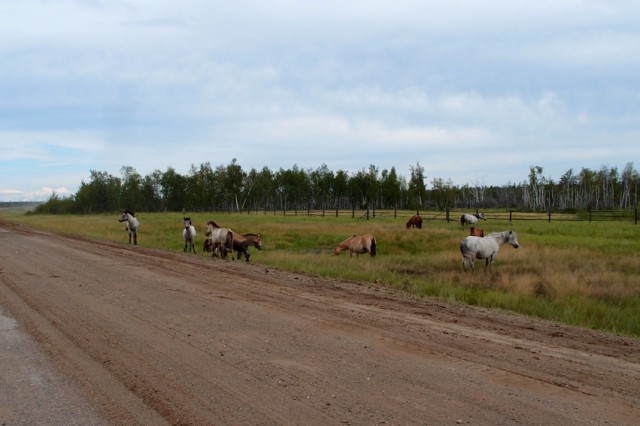 P8166000.JPG