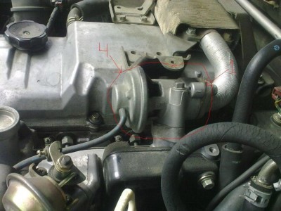 23052010038.jpg