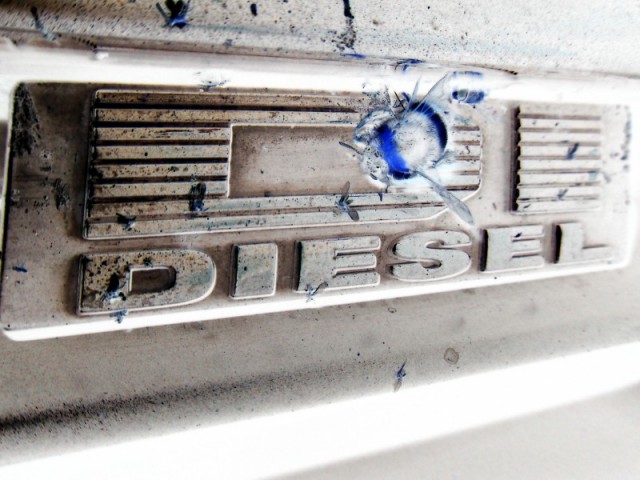 SDC12693.JPG