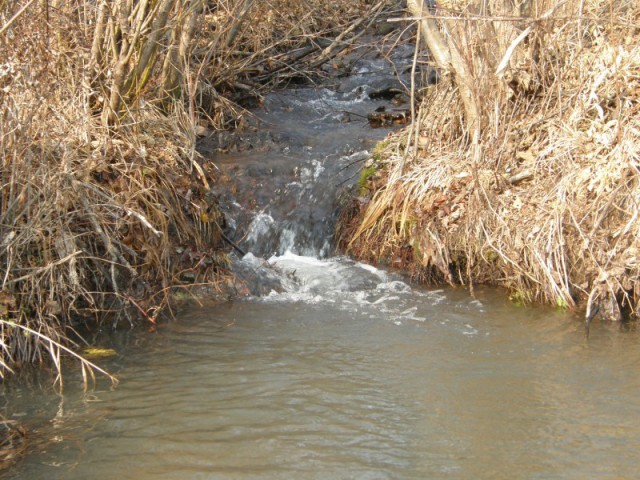 PA231527.JPG