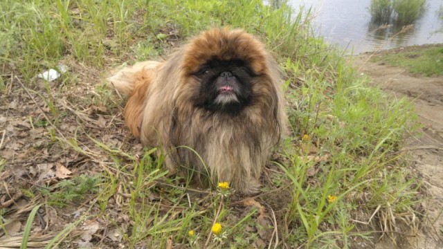 2013-05-31-581.jpg