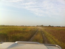  Pajero Club |   