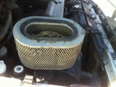  Pajero Club |   
