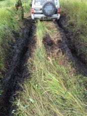  Pajero Club |   