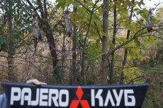  Pajero Club |   