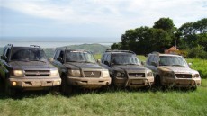  Pajero Club |   