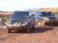  Pajero Club |   