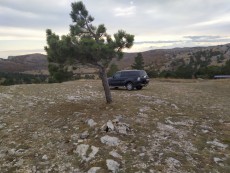  Pajero Club |   