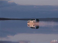 111 (12).jpg