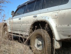  Pajero Club |   