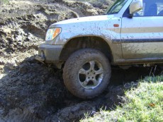  Pajero Club |   