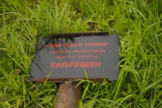 IMGP7356.JPG