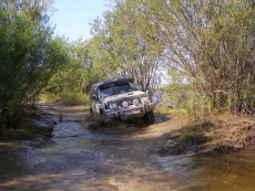  Pajero Club |   