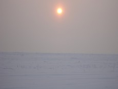 DSC01994.JPG
