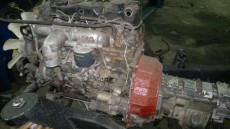  Pajero Club |   