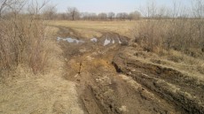2013-04-27-485.jpg