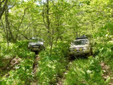  Pajero Club |   
