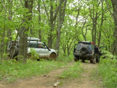  Pajero Club |   