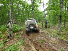  Pajero Club |   