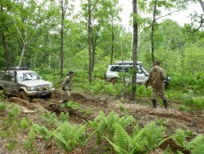 Pajero Club |   