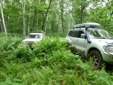  Pajero Club |   