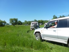  Pajero Club |   