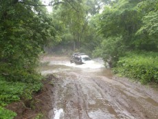  Pajero Club |   